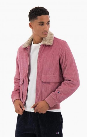 Champion Corduroy Teddy Collar Bomber Jacket Bundy Panske Fuchsie | 8103-KVSWY