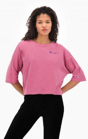 Champion Cropped Script Logo T-Shirt Tricko Damske Červené | 4172-KICER