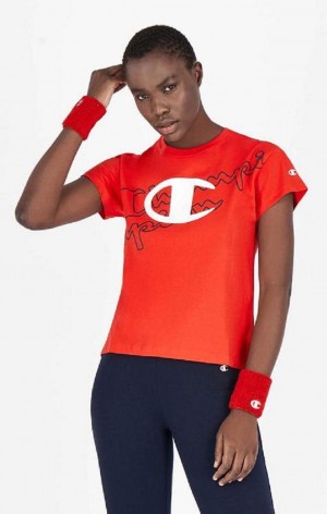 Champion Multi Logo Cropped T-Shirt Tricko Damske Červené | 4972-BAHKP