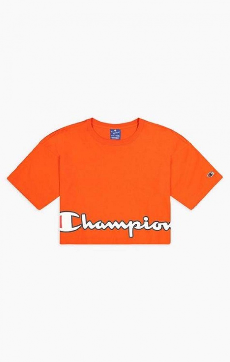 Champion Cropped Script Logo T-Shirt Tricko Damske Oranžové | 3160-NJLFR