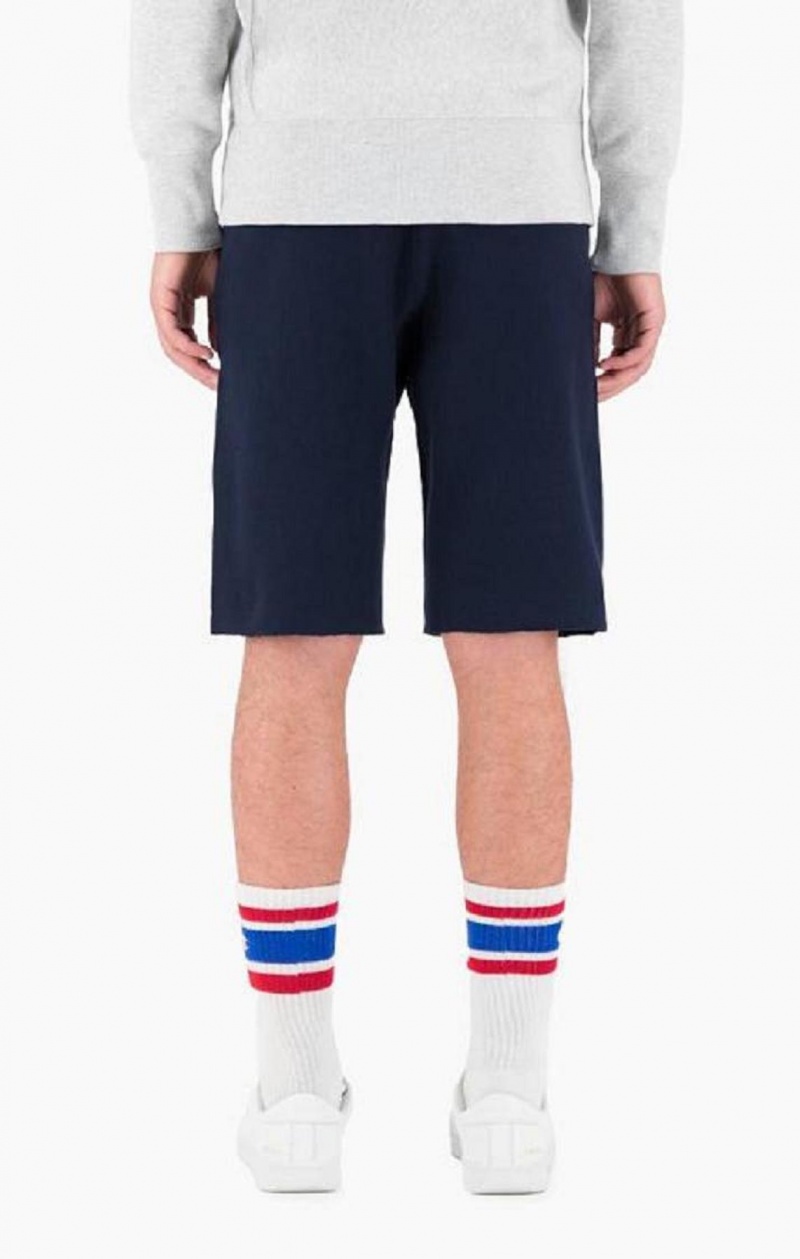 Champion Reverse Weave Long Shorts Kratasy Panske Svetlo Siva | 2536-WTHPJ