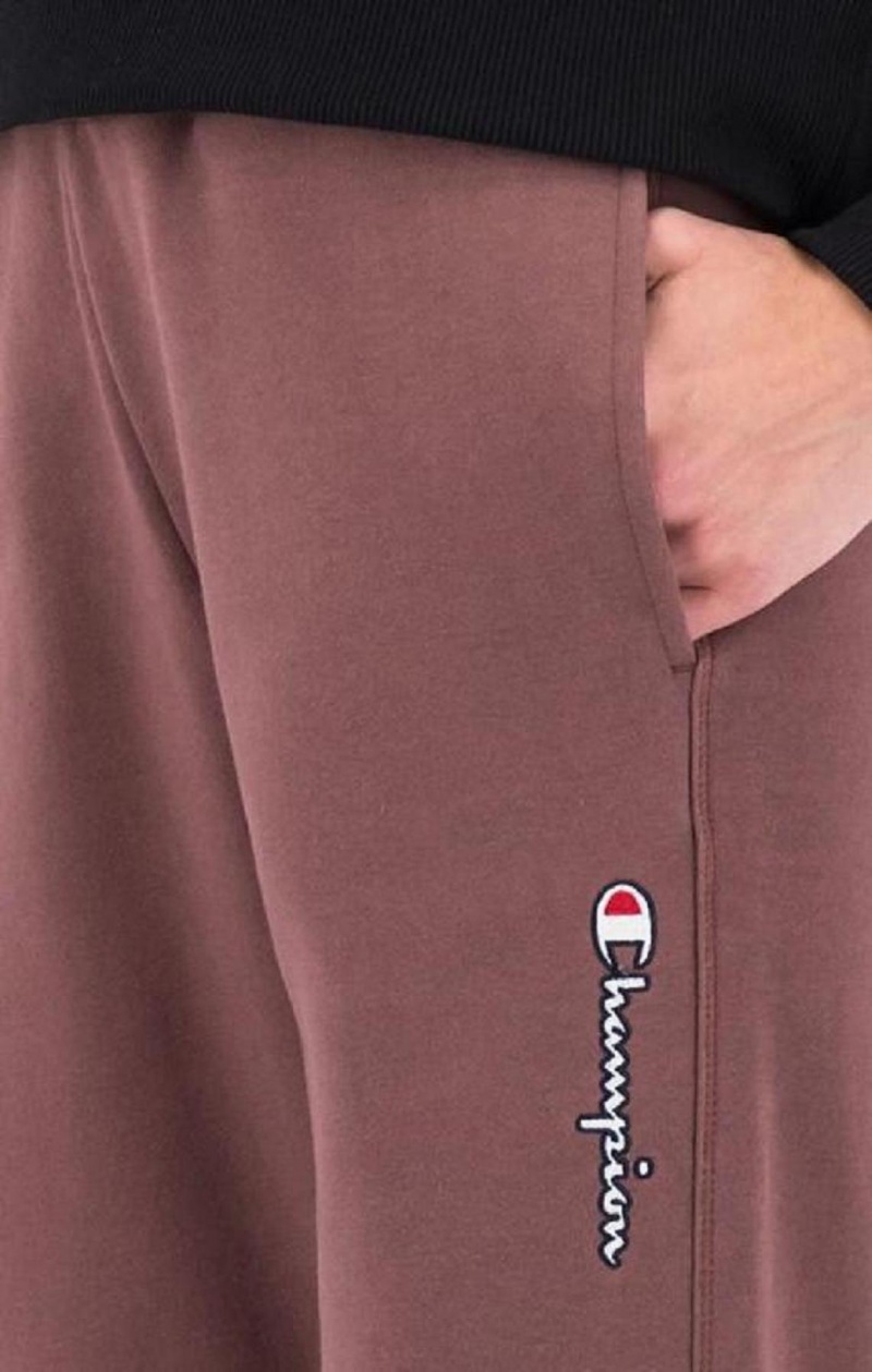 Champion Satin Stitch Script Logo Fleece Joggers Jogger Nohavice Damske Hnede | 4531-SKBVF