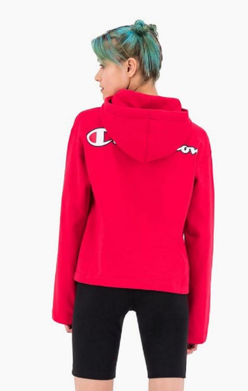 Champion Satin Stitch Script Logo Hoodie Mikina s Kapucnou Damske Červené | 8357-FITRW