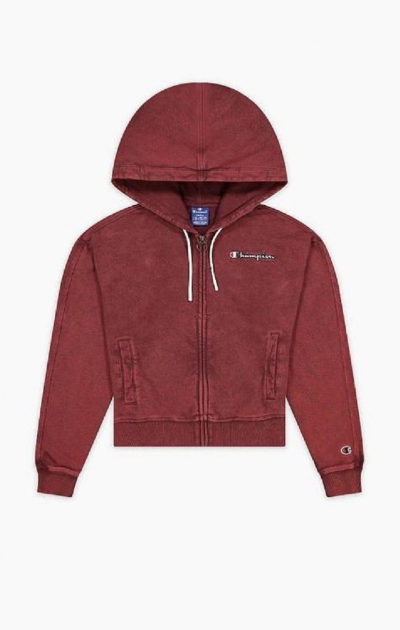 Champion Satin Stitch Script Logo Hoodie Mikina s Kapucnou Damske Tmavo Nachový | 7912-YSPZX