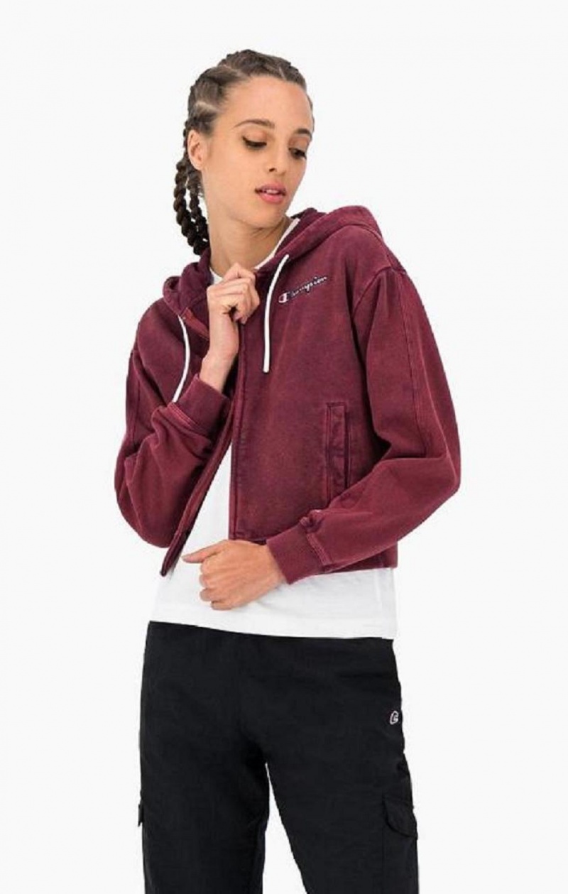 Champion Satin Stitch Script Logo Hoodie Mikina s Kapucnou Damske Tmavo Nachový | 7912-YSPZX