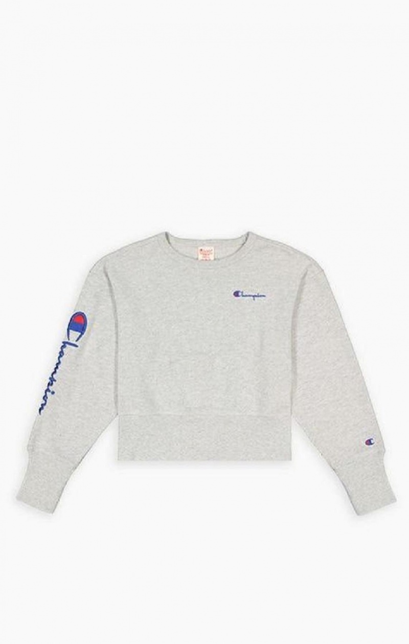 Champion Script Logo High Rib Reverse Weave Sweatshirt Mikiny Damske Svetlo Siva | 6193-NBAVD