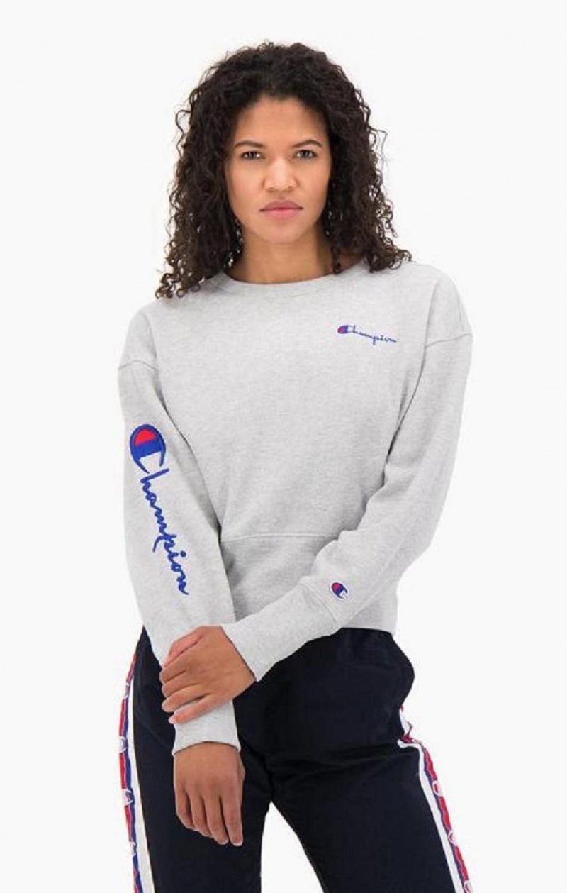 Champion Script Logo High Rib Reverse Weave Sweatshirt Mikiny Damske Svetlo Siva | 6193-NBAVD