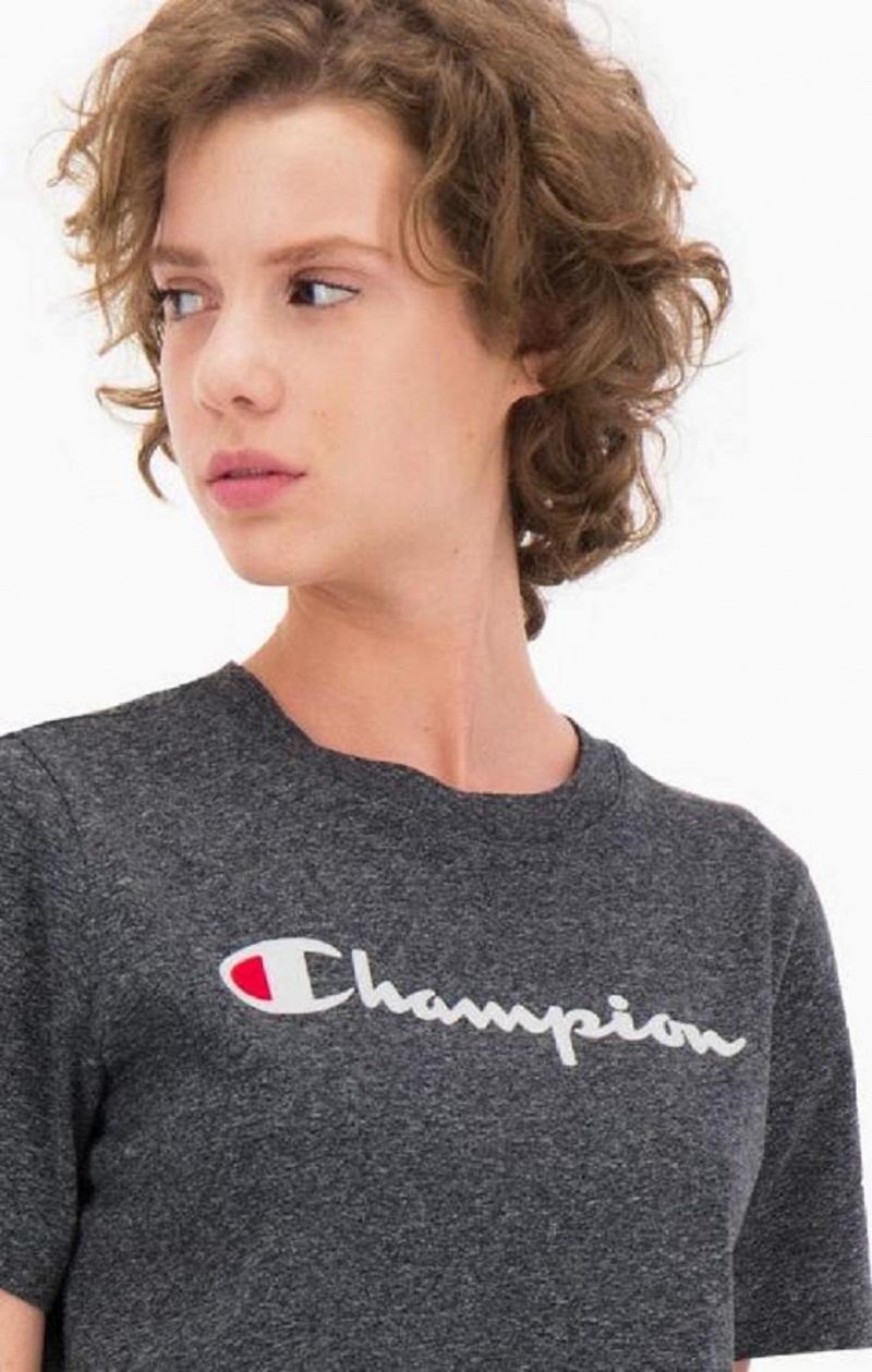 Champion Velvet Script Logo T-Shirt Tricko Damske Svetlo Siva | 6539-YDPOZ