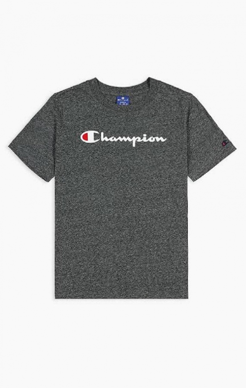 Champion Velvet Script Logo T-Shirt Tricko Damske Svetlo Siva | 6539-YDPOZ